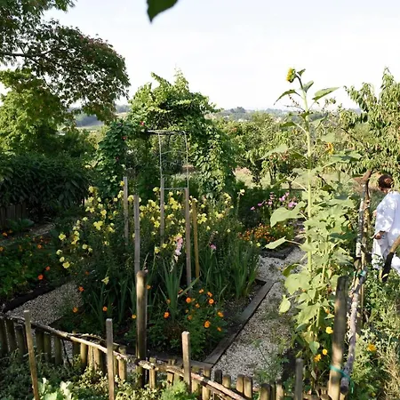Bed & Breakfast Chateau Du Tasta Camblanes-et-Meynac