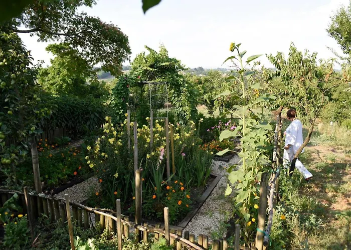 B&B Chateau Du Tasta Camblanes-et-Meynac